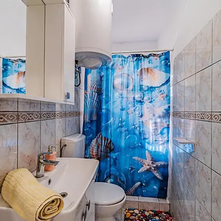 Roza 1 By Guide 벨라루카