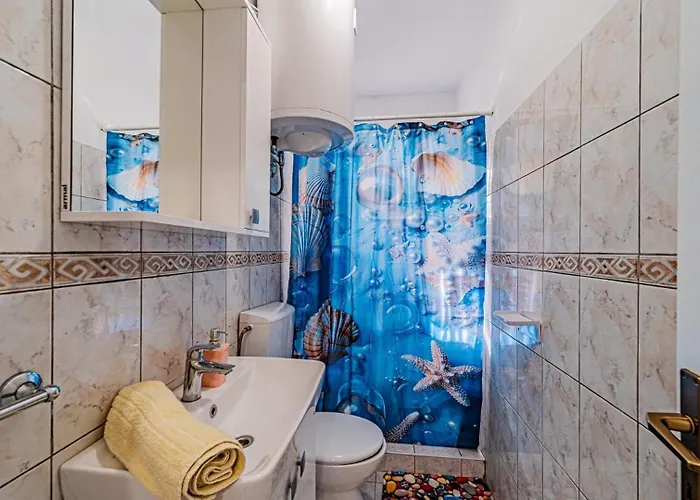 Roza 1 By Guide Vela Luka